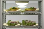Cool Basics K�hlvitrine ATV 72