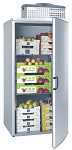 Cool Basics Minik�hlzelle MZ 1850