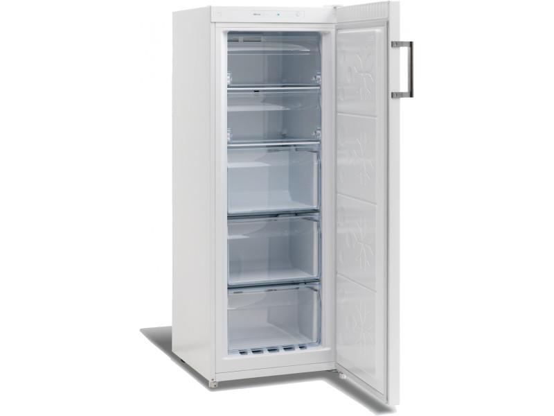 Bild 1: Esta Tiefkühlschrank mit Volltür SFS 209