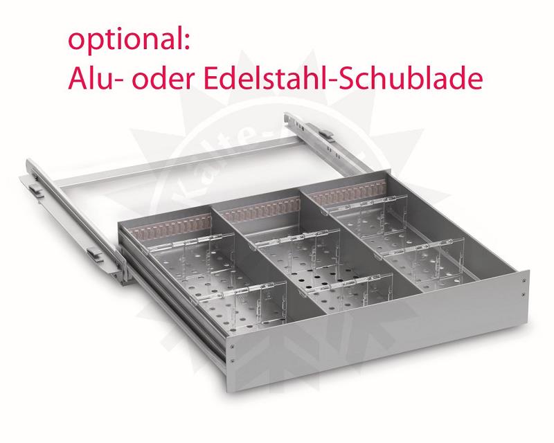 Bild 6: Gram BioLine Laborkühlschrank BioCompact II RR 410