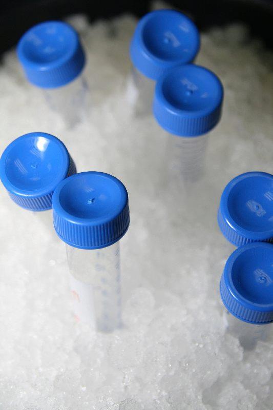 Bild 3: Brema Flockeneisbereiter GB-903A-HC-DP