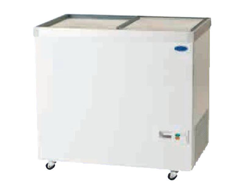 Bild 1: Carrier Tiefkühltruhe CET 300