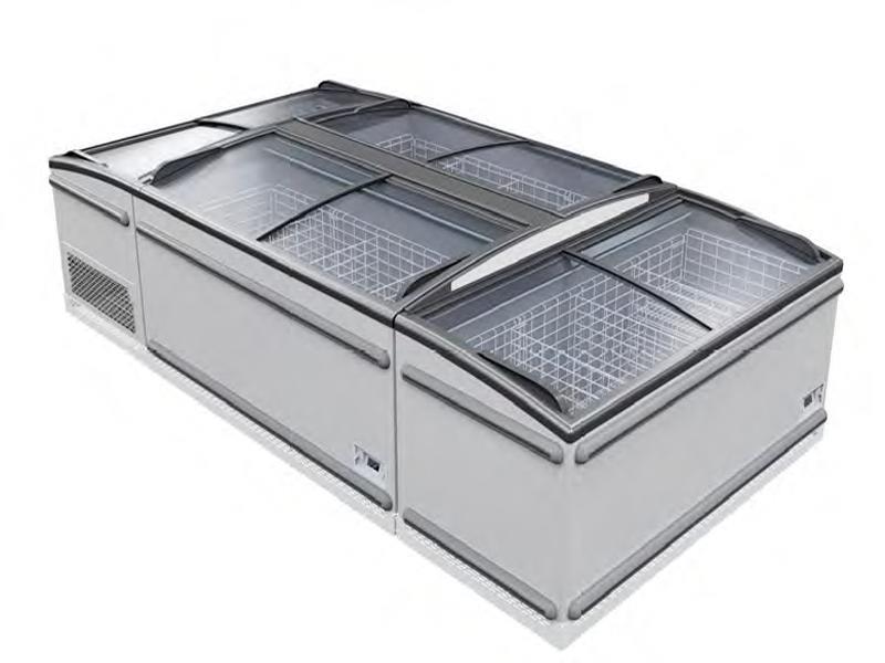 Bild 1: Carrier Tiefkühltruhe Visor 2551/81 G R290