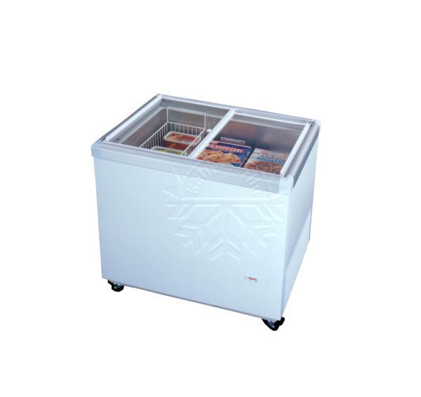 Bild 1: Carrier Eiskremetruhe CB 225 GL