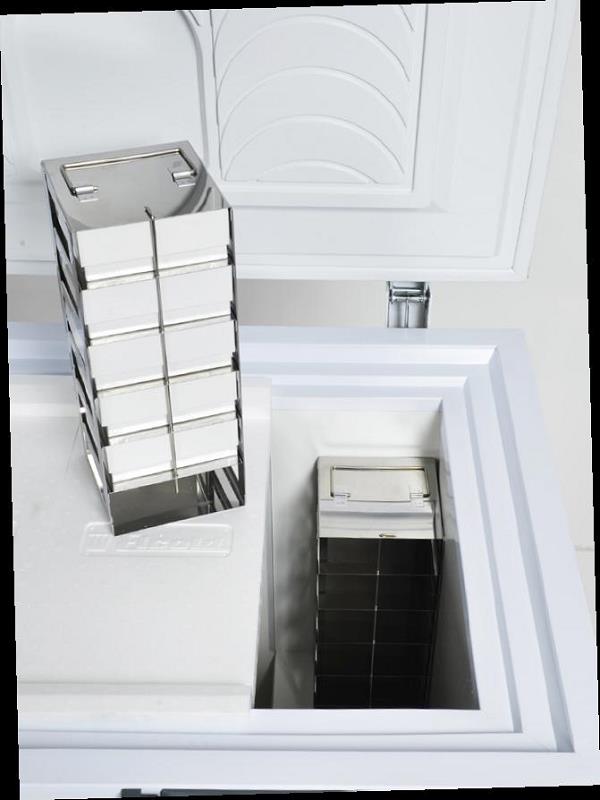 Bild 3: Esta Tieftemperaturtruhe LAB 11