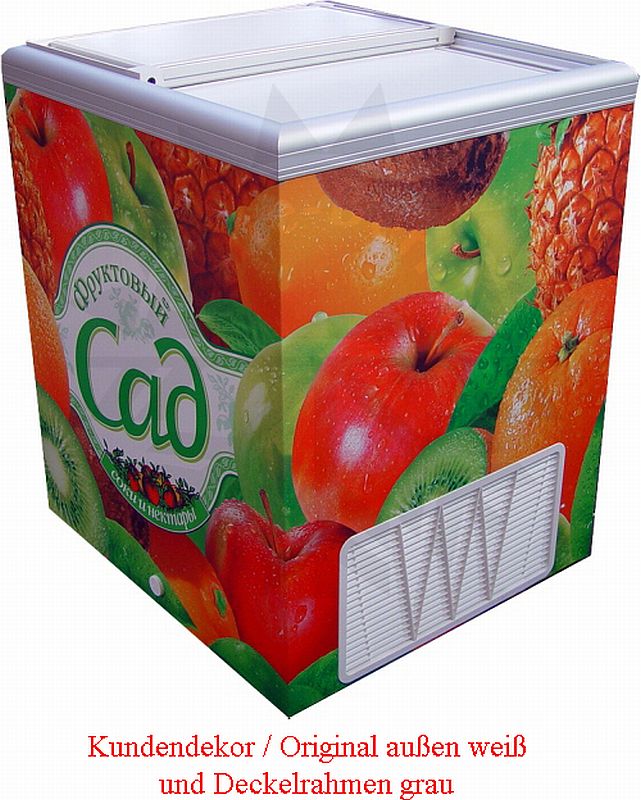 Bild 2: Esta mobile Tiefkühltruhe Mobilux 11 - mit 12V Batterie