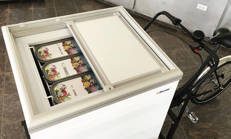 Bild 6: Esta mobile Tiefkühltruhe Mobilux 11 - mit 12V Batterie