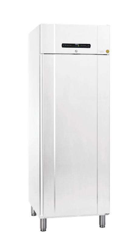 Bild 1: Gram BioLine Laborkühlschrank BioCompact II RR 610