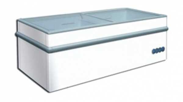 Bild 1: Iarp Jumbo-Tiefkühltruhe GT 250-N