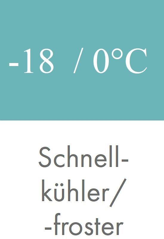 Bild 3: KBS Schockfroster für Speiseeis Friulinox R-12-SA