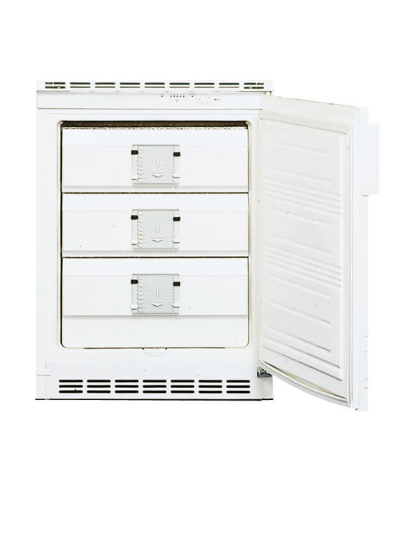 Bild 1: KBS Tiefkühlschrank UG 1211