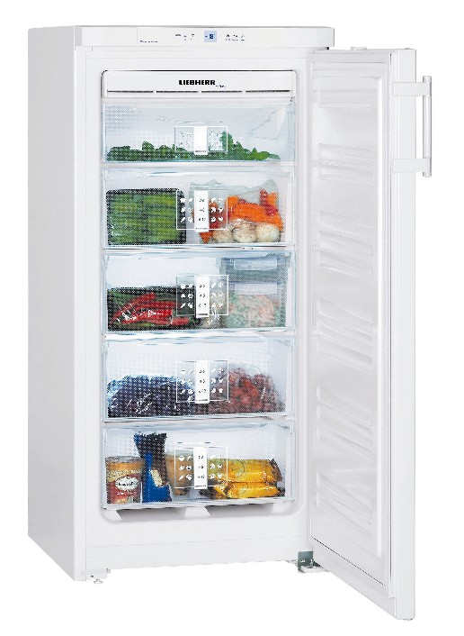 Bild 1: KBS Tiefkühlschrank Liebherr GN 1956-20