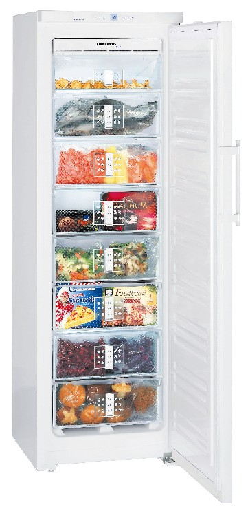 Bild 1: KBS Tiefkühlschrank Liebherr GN 3056-20