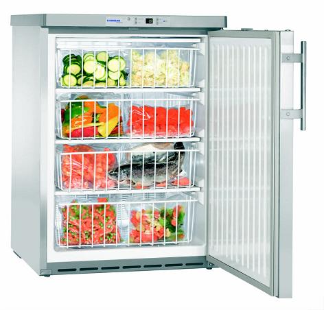 Bild 1: KBS Tiefkühlschrank Liebherr GGU 1550