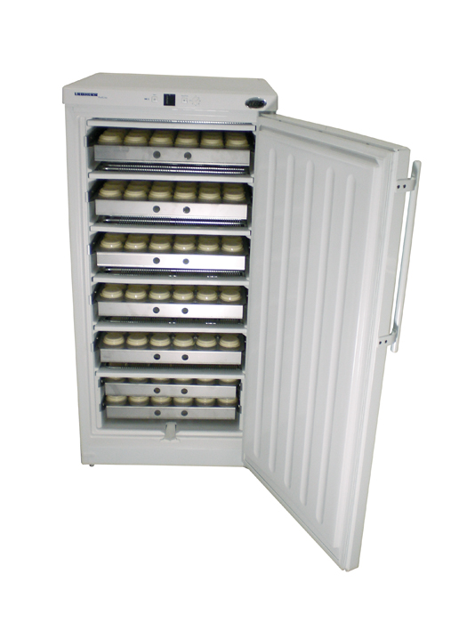 Bild 1: KBS Rückstellproben-Tiefkühlschrank RGS 174