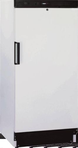 Bild 4: Esta Kühlschrank mit geschäumter Tür - L 372 W Eco