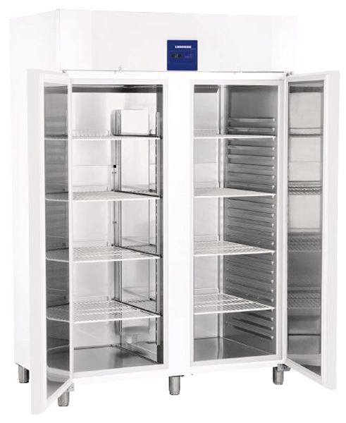 Bild 1: Liebherr GN Gefriergerät ProfiLine GGPv 1420