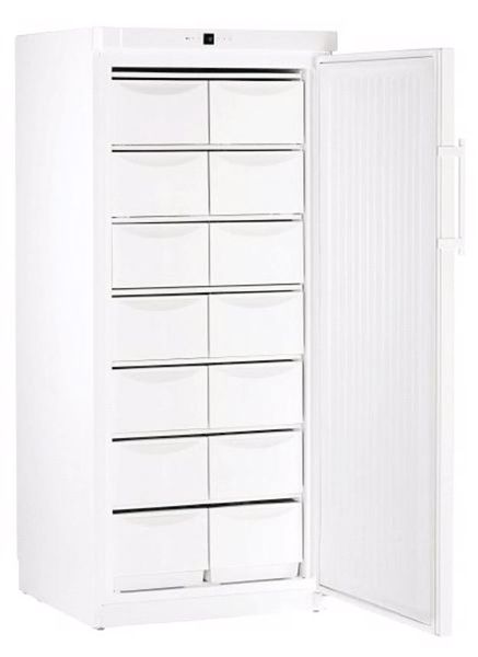 Bild 1: Liebherr Gastrogefrierschrank G 5216