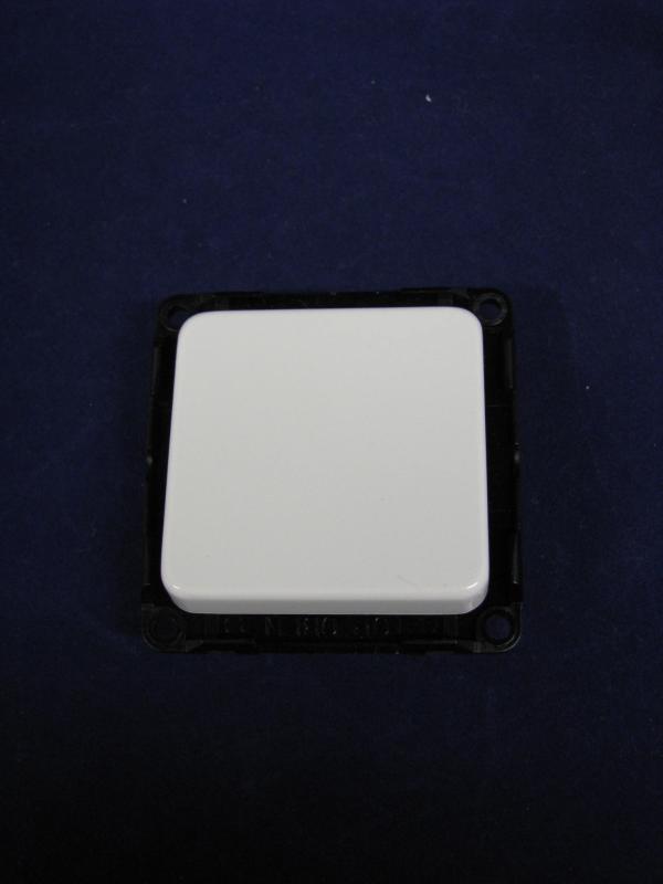 Bild 1: Taster mit quadratischer Wippe (ab Baujahr 2009)