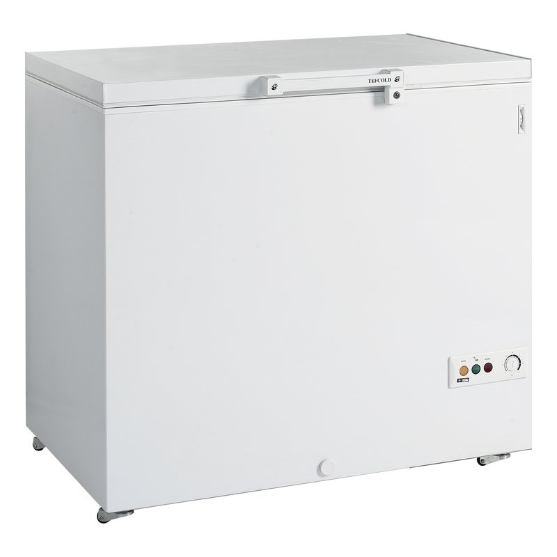 Bild 1: Tefcold Tiefkühltruhe FR305 SL