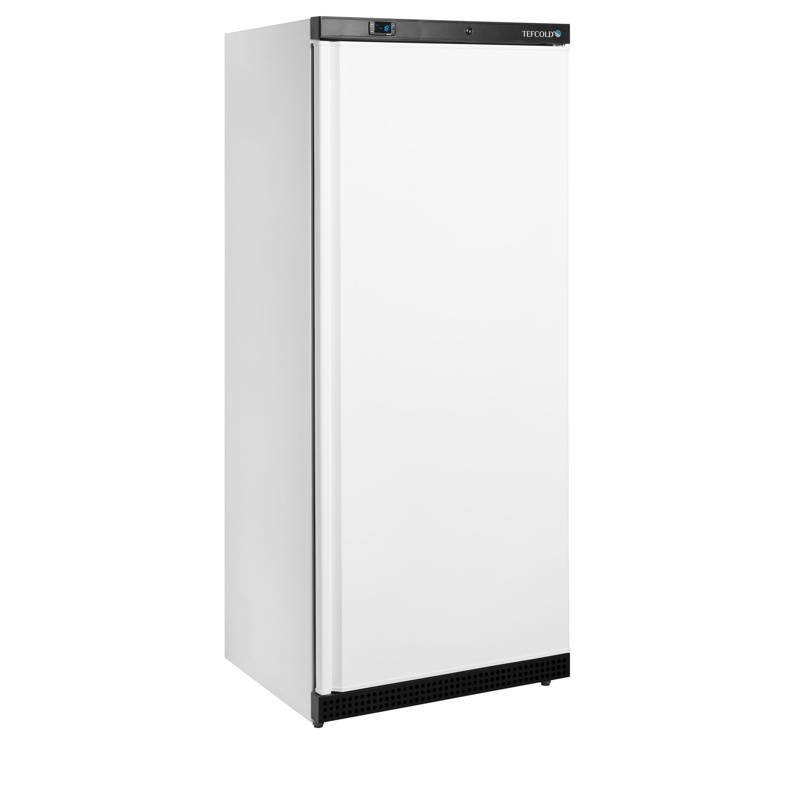 Bild 1: Tefcold Gefrierschrank UF600 W/BASKETS