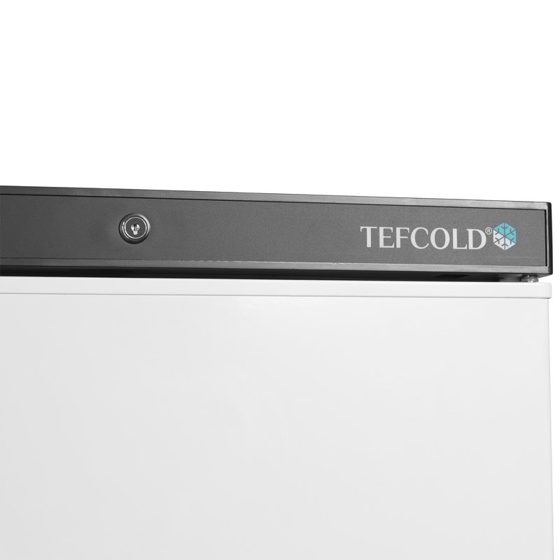 Bild 5: Tefcold Gefrierschrank UF200V