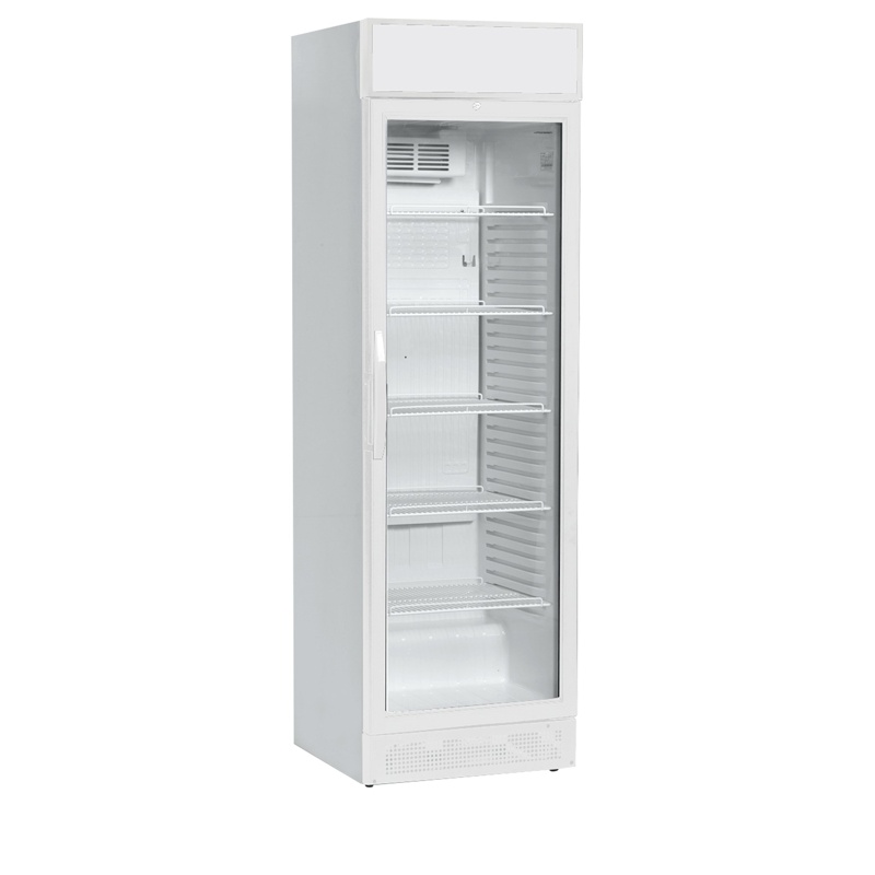 Bild 1: Tefcold Flaschenkühler CEV425CPW
