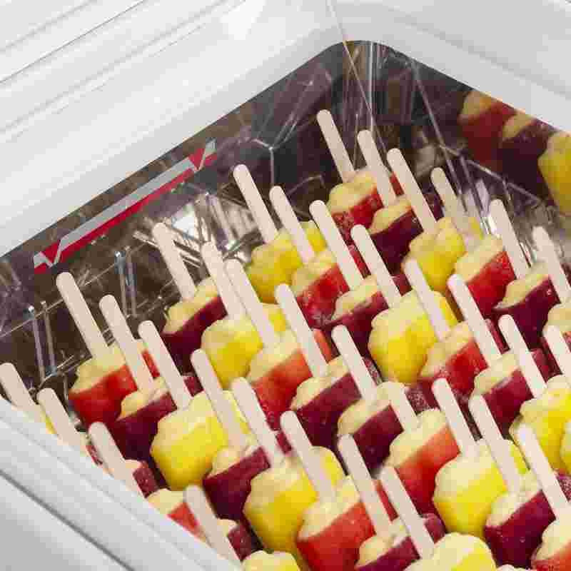 Bild 4: Tefcold Streicheis-Gefriertruhe ICE3