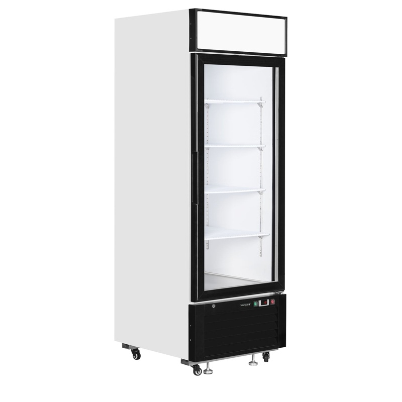 Bild 1: Tefcold Gefrierschrank LGF2500