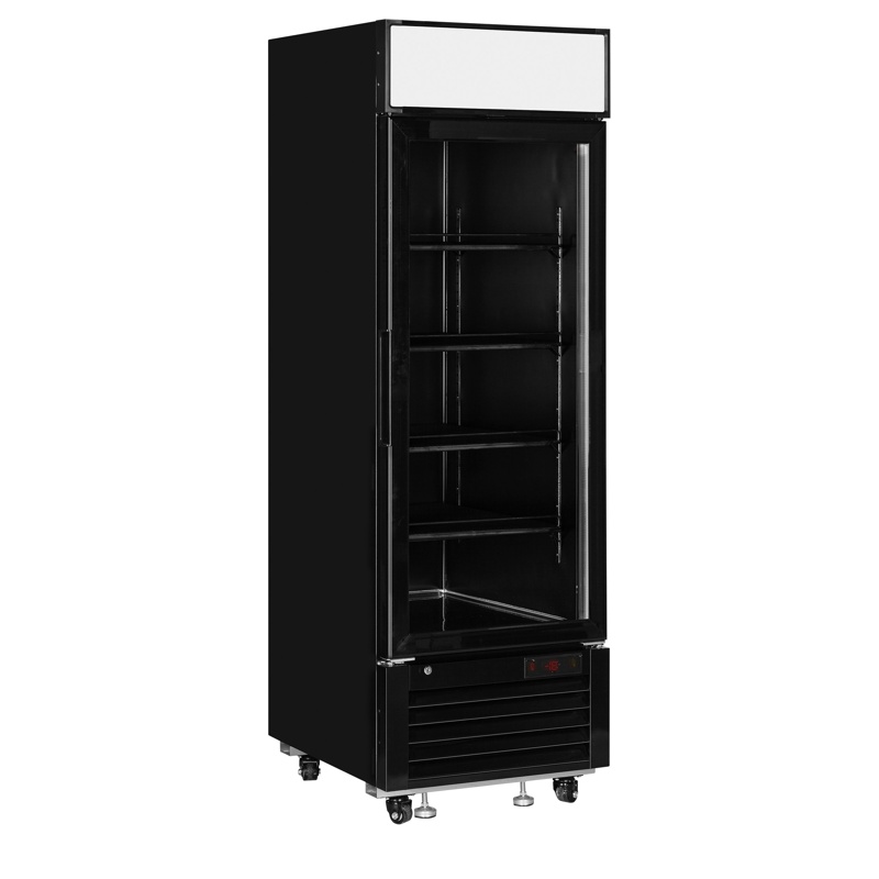 Bild 1: Tefcold Gefrierschrank LGF2500B