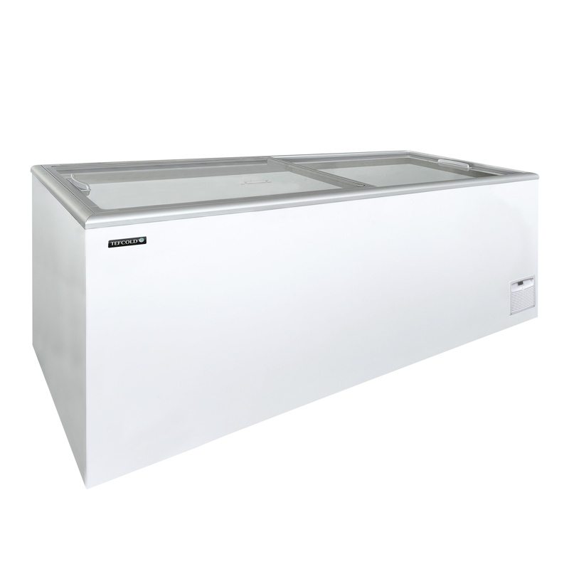 Bild 1: Tefcold Tiefkühltruhe IDA600-W1