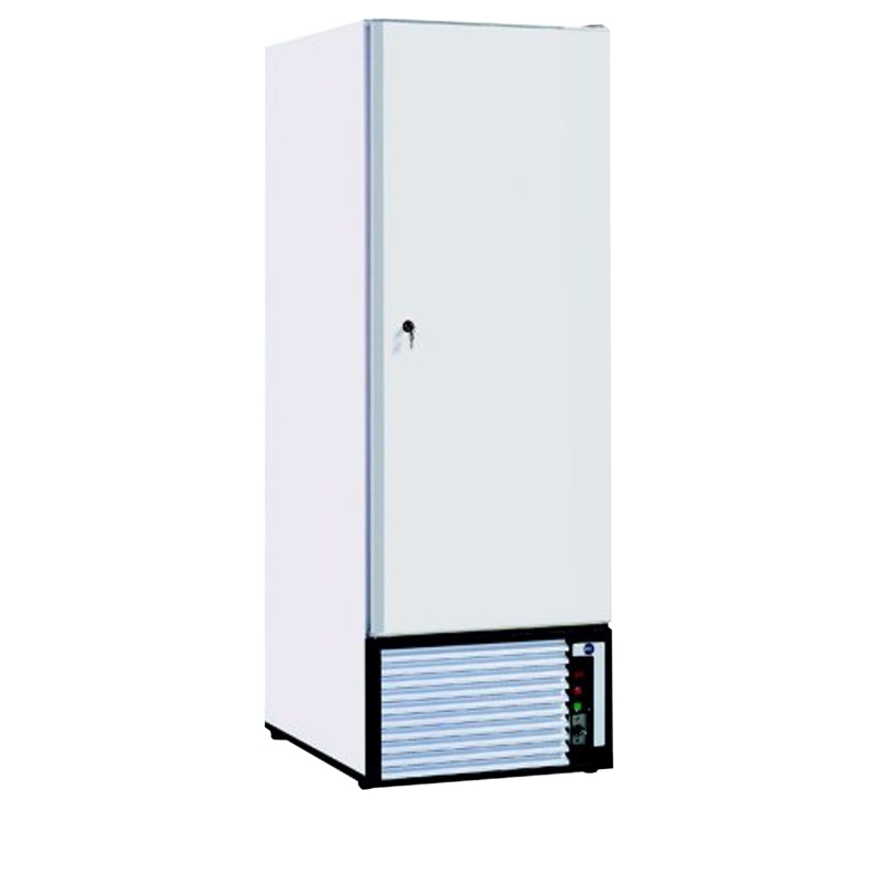 Bild 1: Tefcold Lagergefrierschrank TKL600N-Eco