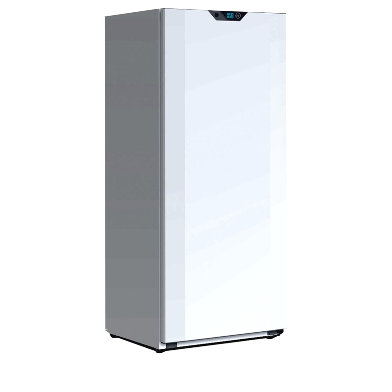 Bild 1: Tefcold Lagergefrierschrank TKL660NV-Eco