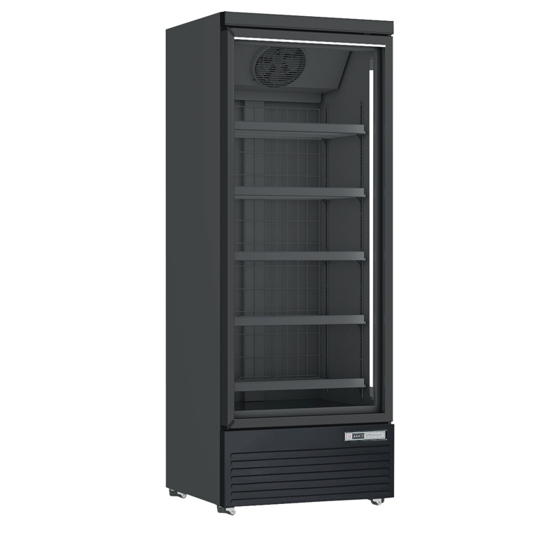 Bild 1: Tefcold Tiefkühlschrank mit Glastür DF560BC