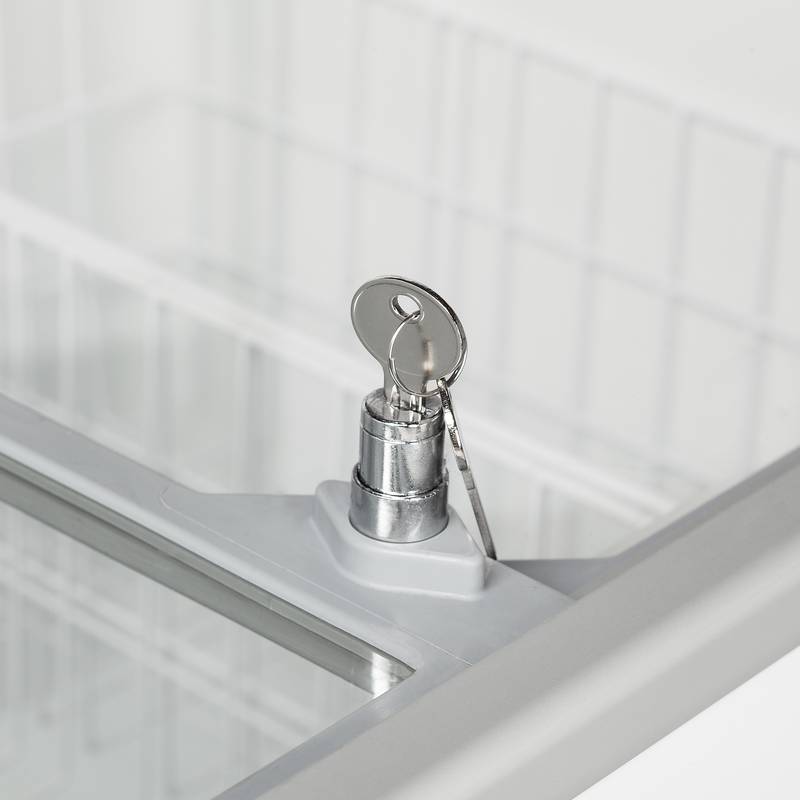 Bild 5: Tefcold Tiefkühltruhe IC202SC