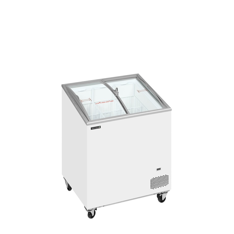 Bild 1: Tefcold Tiefkühltruhe IC202SCEB