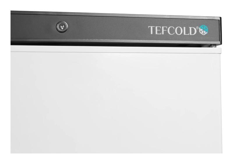 Bild 6: Tefcold Gefrierschrank UF200V