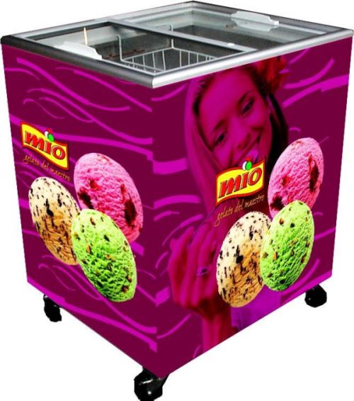 Bild 5: Esta Tiefkühltruhe EK 400-OK