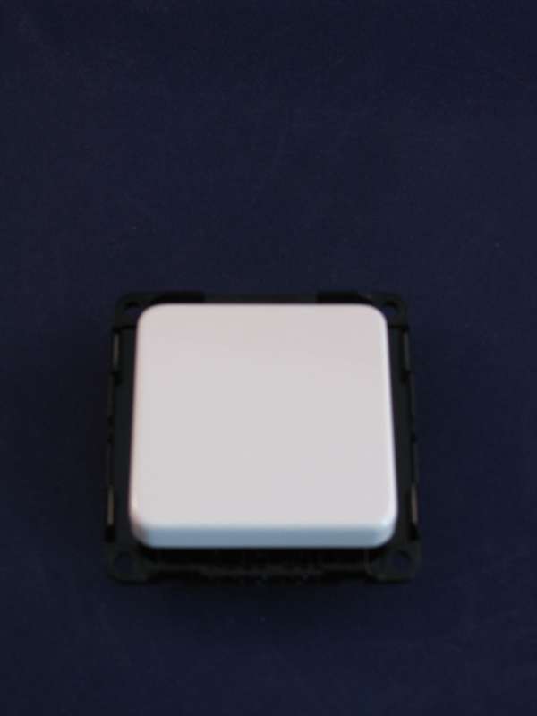 Bild 1: Wechselschalter mit quadratischer Wippe (ab Baujahr 2009)