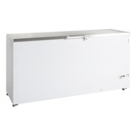 Tefcold Tiefkühltruhe FR605S SL