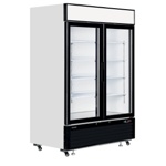 Tefcold Gefrierschrank LGF5000
