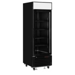 Tefcold Gefrierschrank LGF2500B